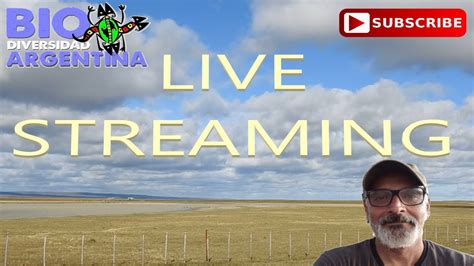 100.5 live stream patagonia.